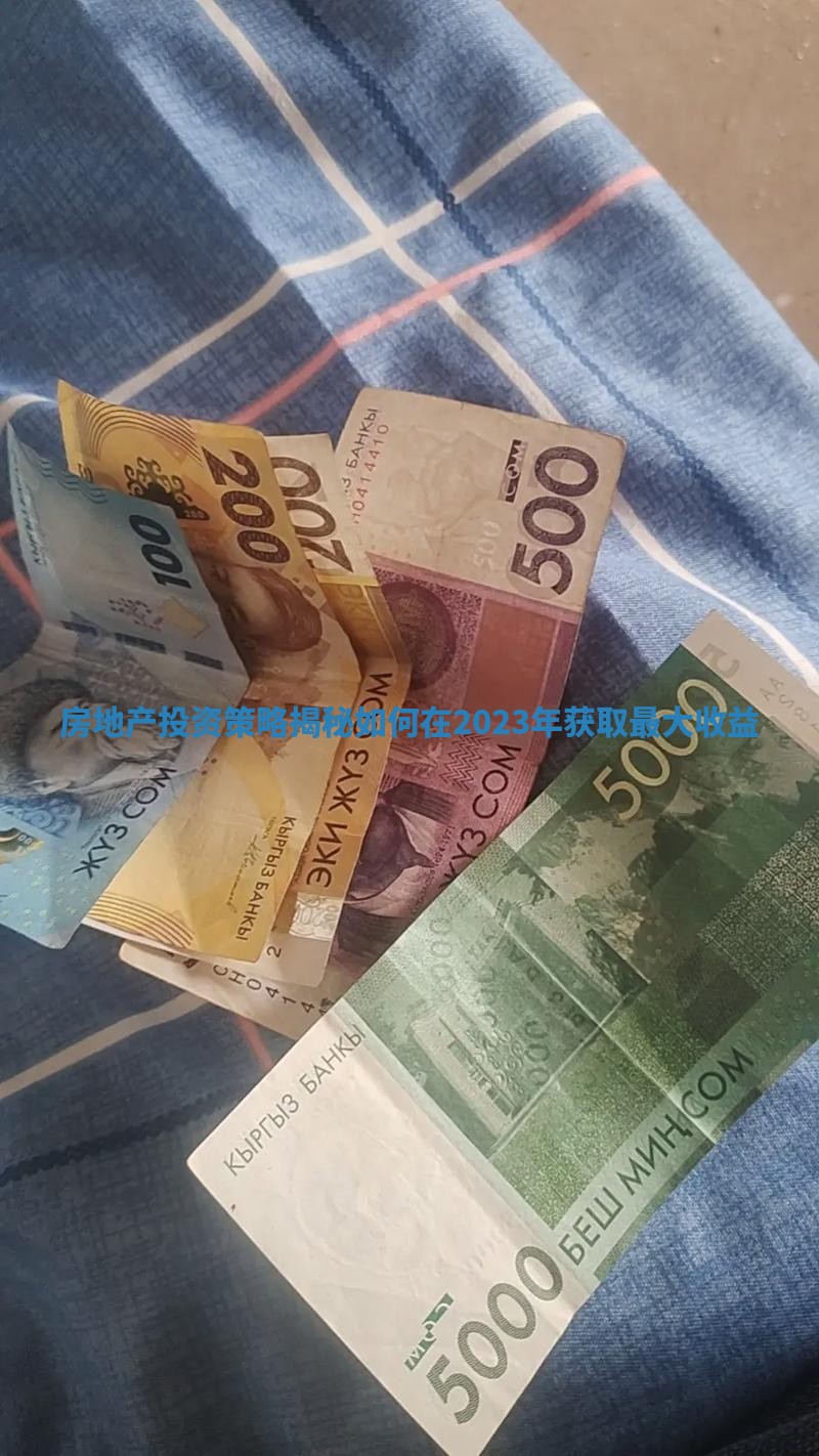 房地产投资策略揭秘如何在2023年获取最大收益