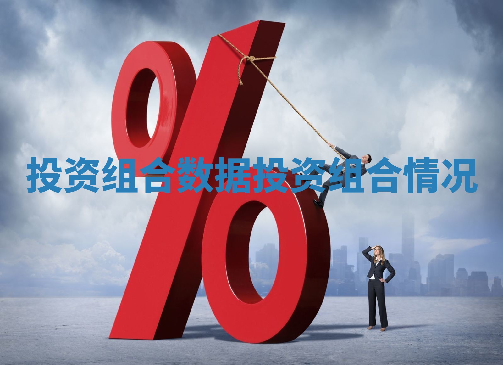 投资组合数据 投资组合情况