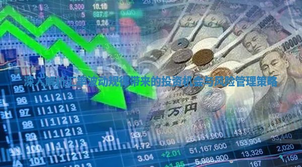 深入解析汇率波动规律带来的投资机会与风险管理策略