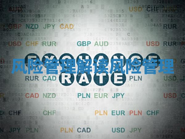 风险管理解读 风险管理